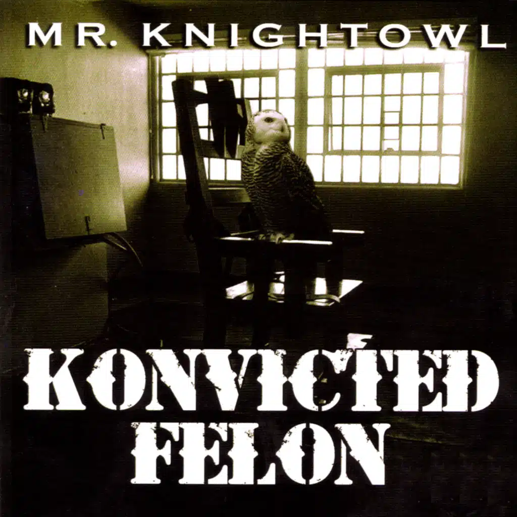 Mr.Knightowl