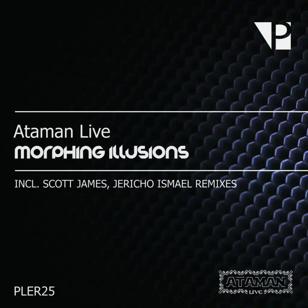 Morphing Illusions (Scott James Remix)