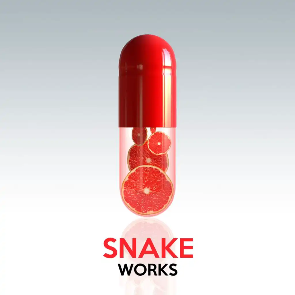 Snake Works