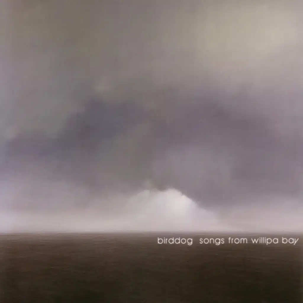 Songs From Willipa Bay (feat. Jason Loewenstein & Paul Oldham)