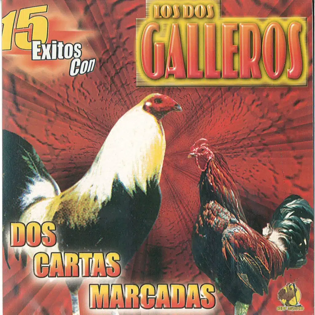 Amor Sincero