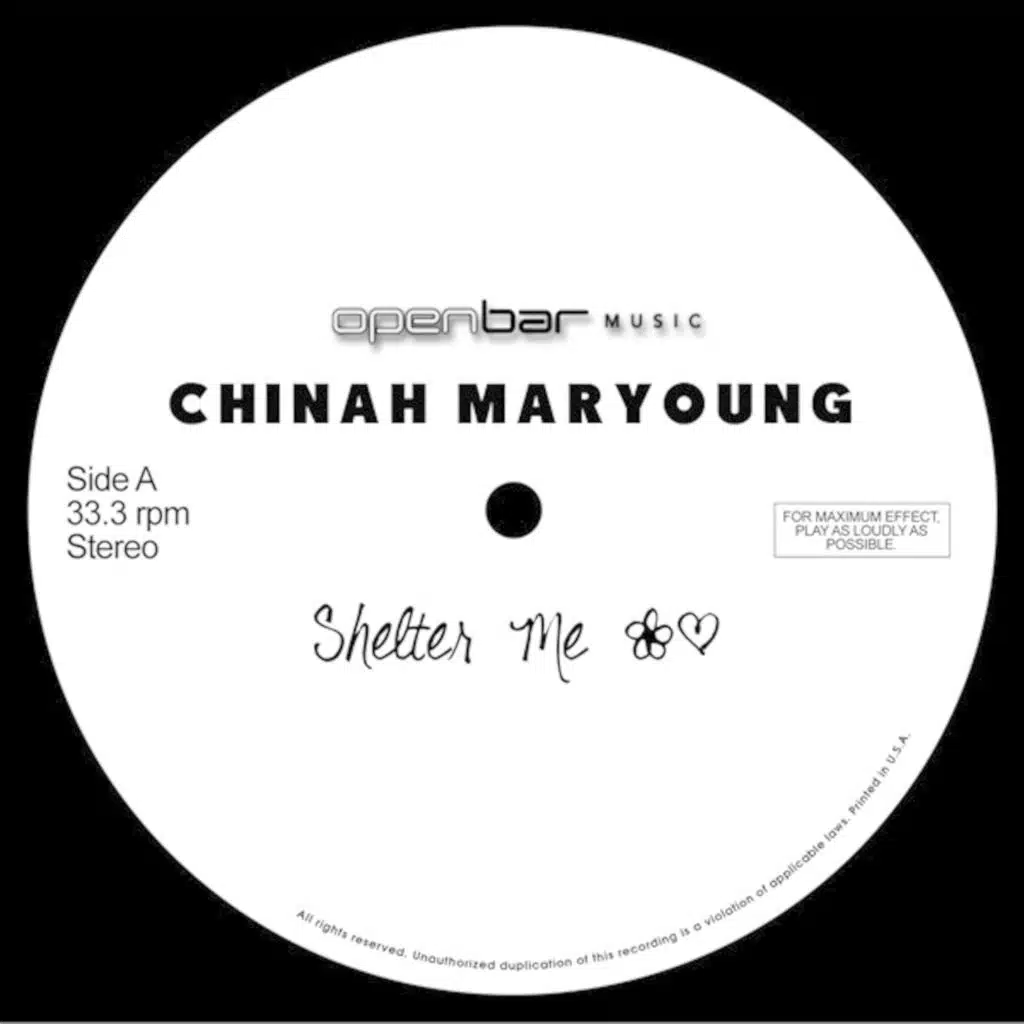 Shelter Me (Dub Mix)