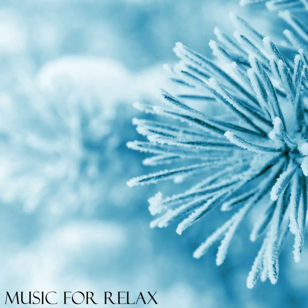 Music for Relax, Vol. 6
