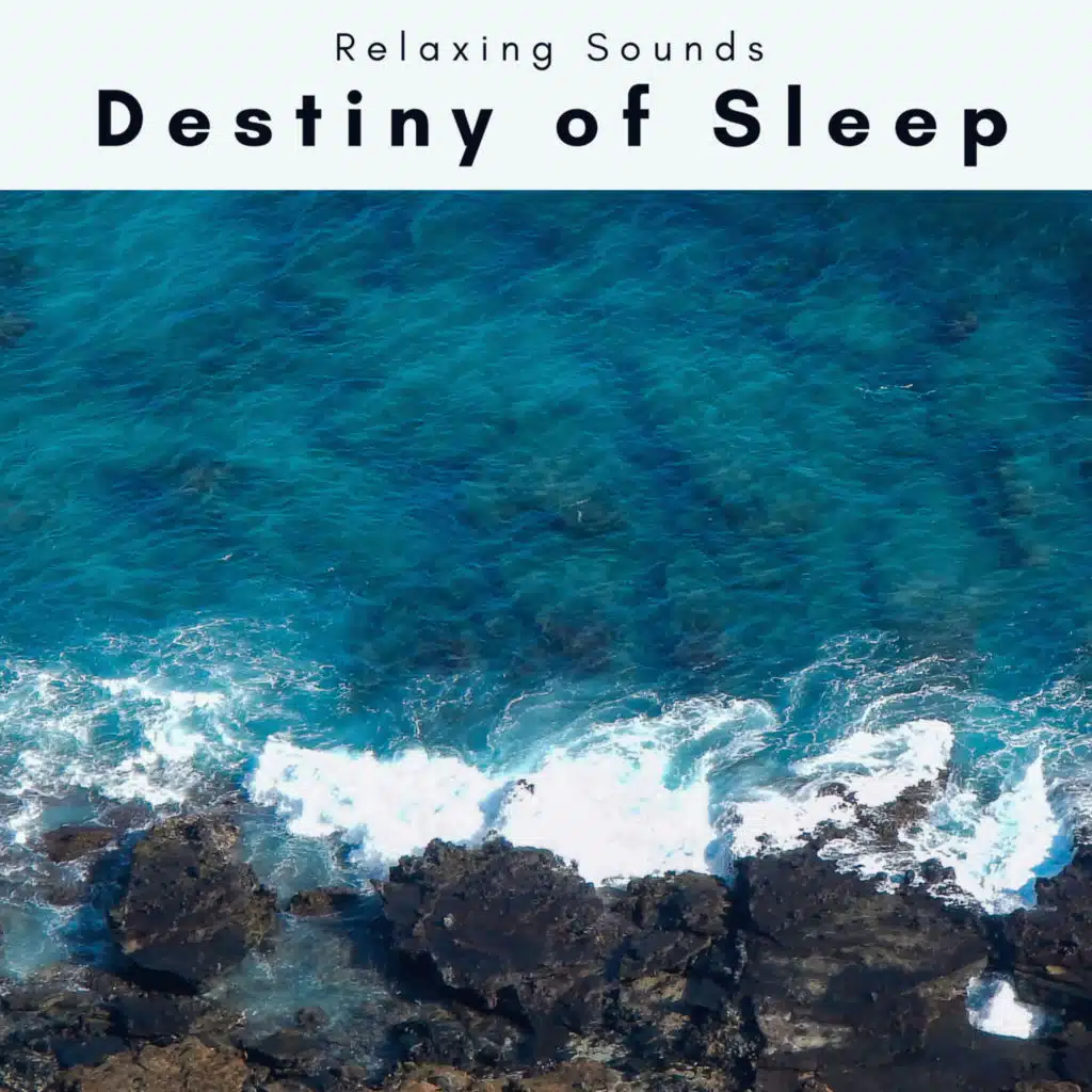 Destiny of Sleep (feat. Creatress, Focus and Work & Nature's Noise) (feat. Creatress, Focus and Work & Nature's Noise)