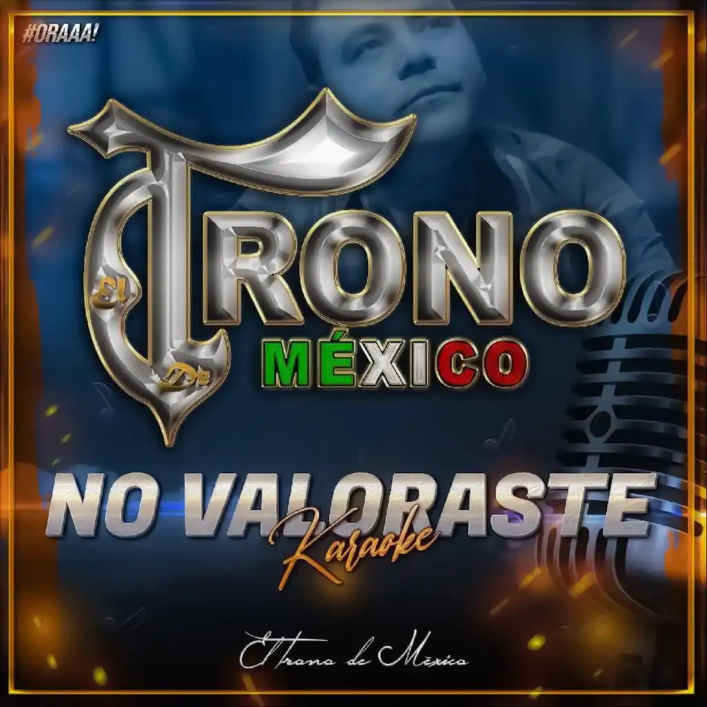 No Valoraste (Karaoke)