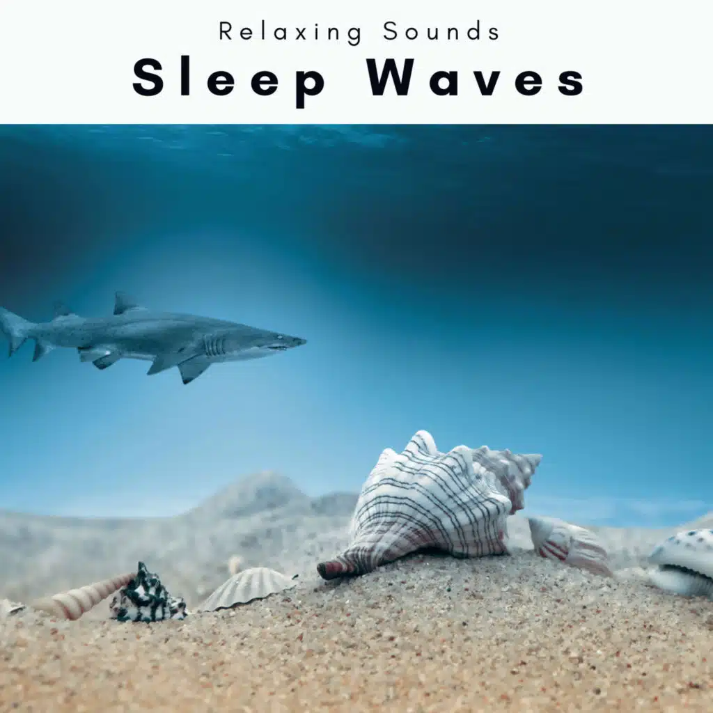 2022 Sleep Waves
