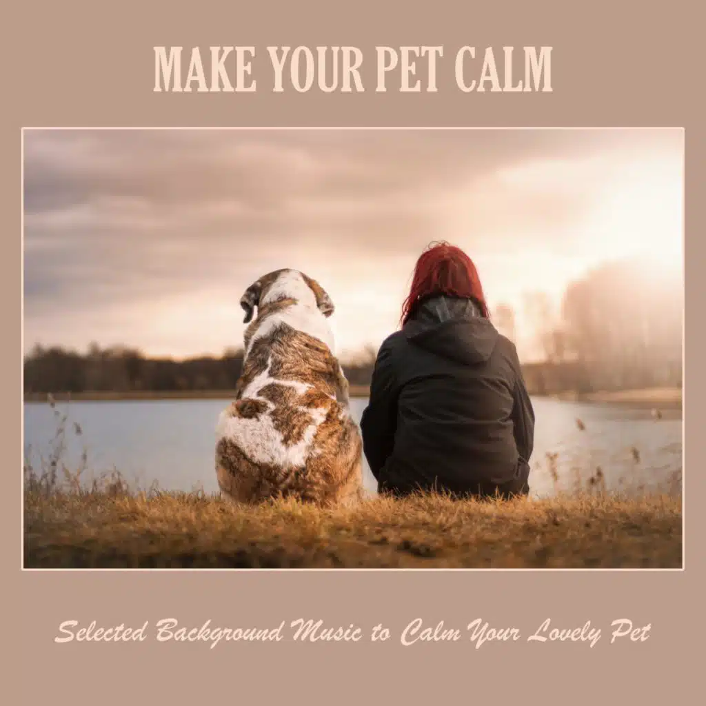 Make Your Pet Calm: Selected Background Music to Calm Your Lovely Pet