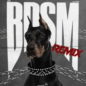 B.D.S.M. (Remix)