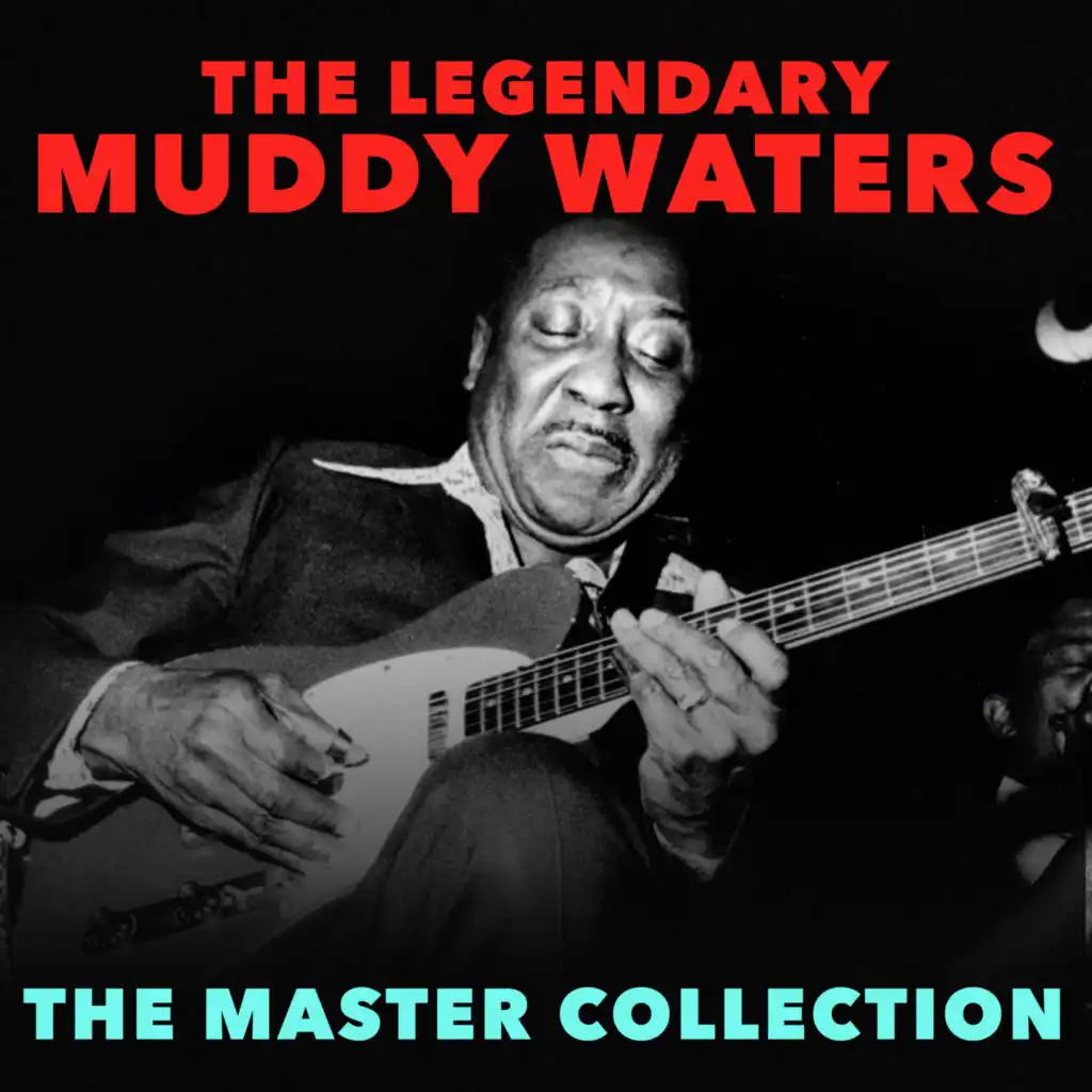 The Master Collection (Digitallty  Remastered)