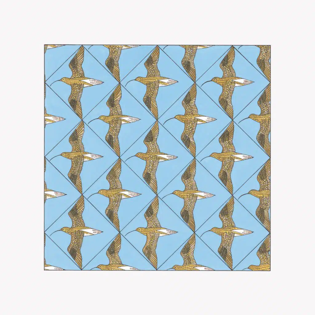 Simmerdim: Curlew Sounds