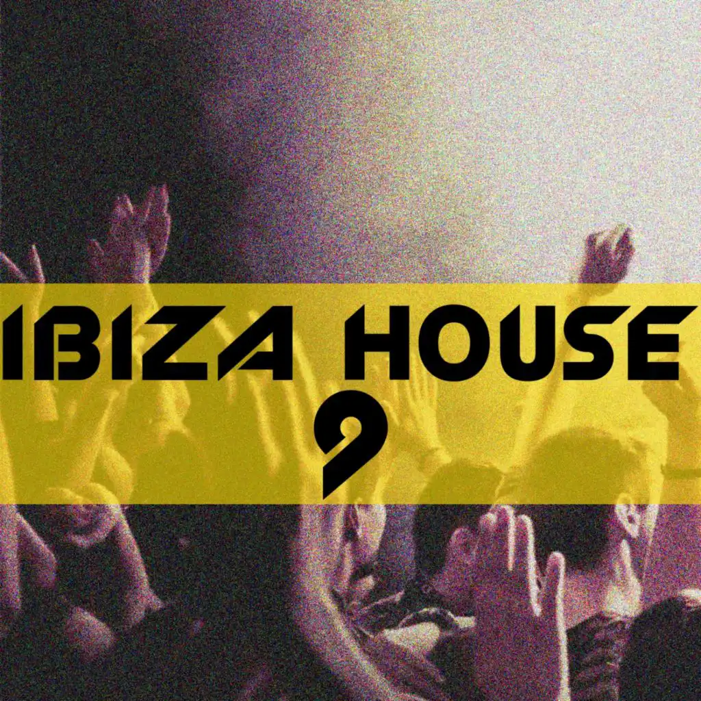 Ibiza House, Vol 9