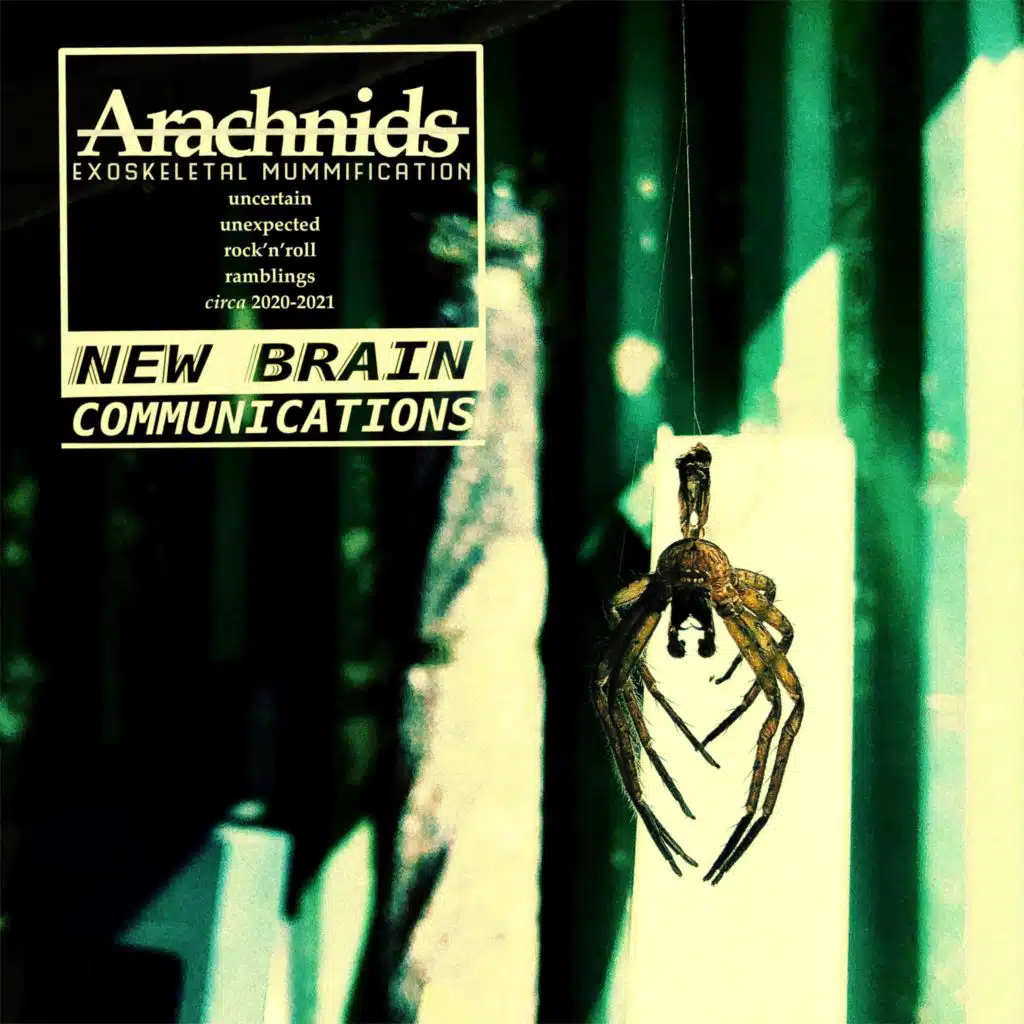 Exoskeletal Mummification