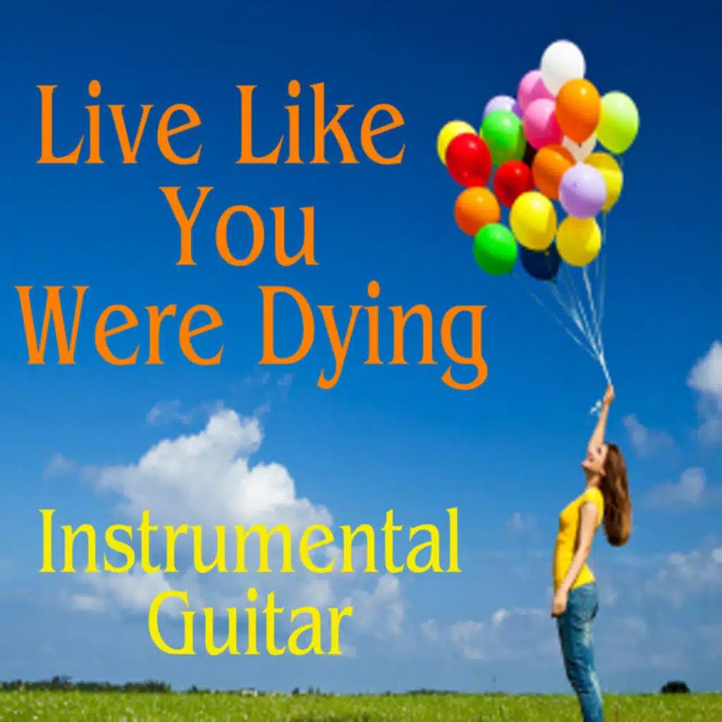 Instrumental Guitar: Live Like You Were Dying