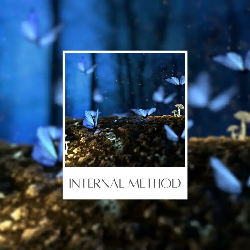 Internal Method