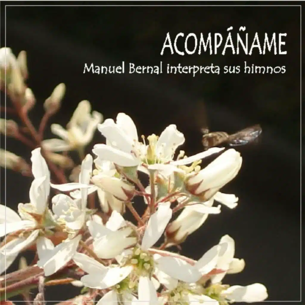 Qué Más Te Puedo Dar?