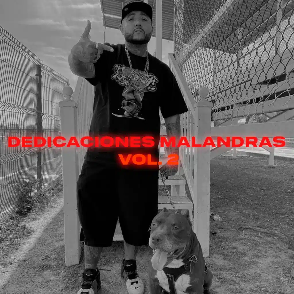 Dedicaciones Malandras, Vol. 2