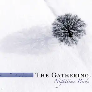 Nighttime Birds (Re-issue 2007 incl. Bonus tracks)