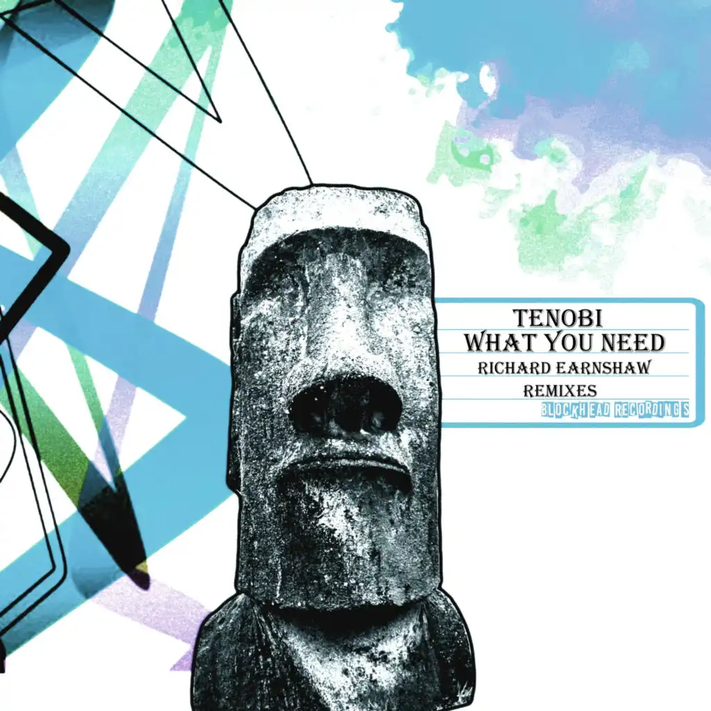 What You Need (Richard Earnshaw Radio Revision)