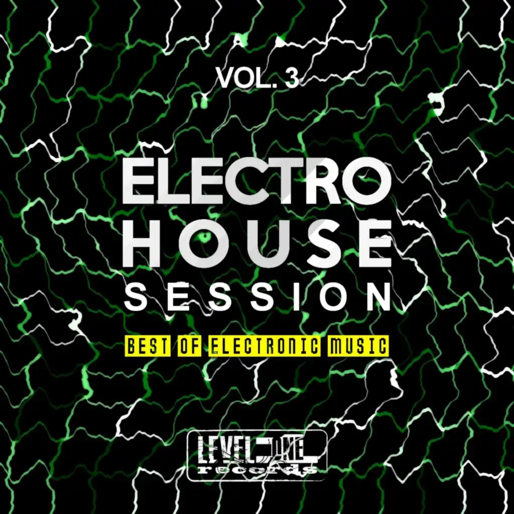 Electro House Session, Vol. 3 (Best Of Electronic Music)
