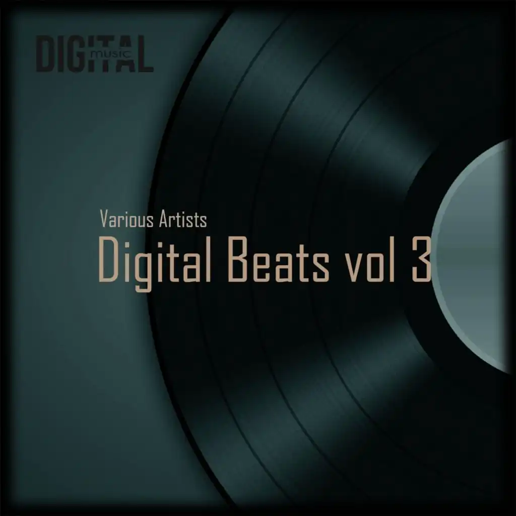 Digital Beats, Vol. 3