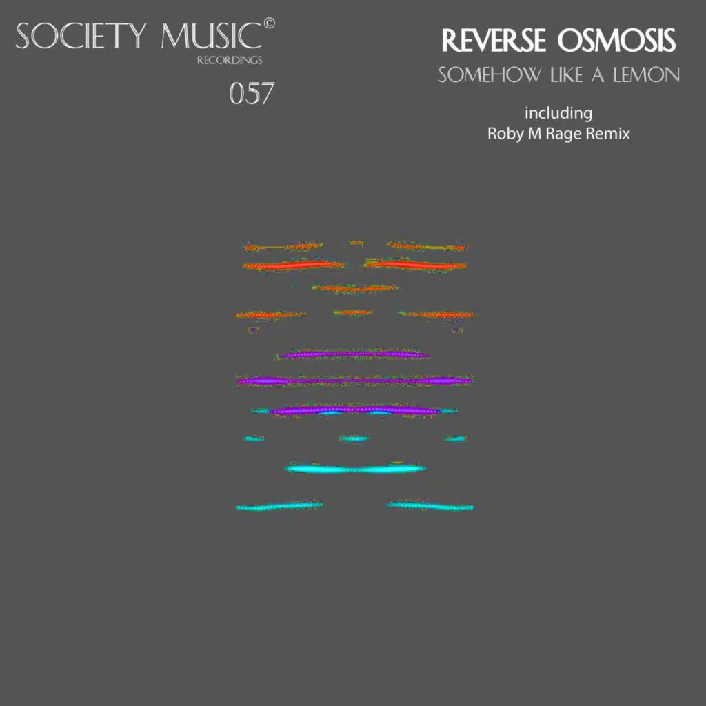 Somehow Like A Lemon (Roby M Rage remix)