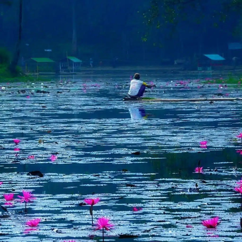 ===="Kata-kata Kehidupan", "Kabar Baik", "Lagu-lagu Injil" -Bahasa yang Diucapkan di Indonesia dengan Kurang dari Satu Juta Pembicara / / "Words of Life","Good News","Gospel Songs" - Languages Spoken in Indonesia With Less Than One Million Speakers ====