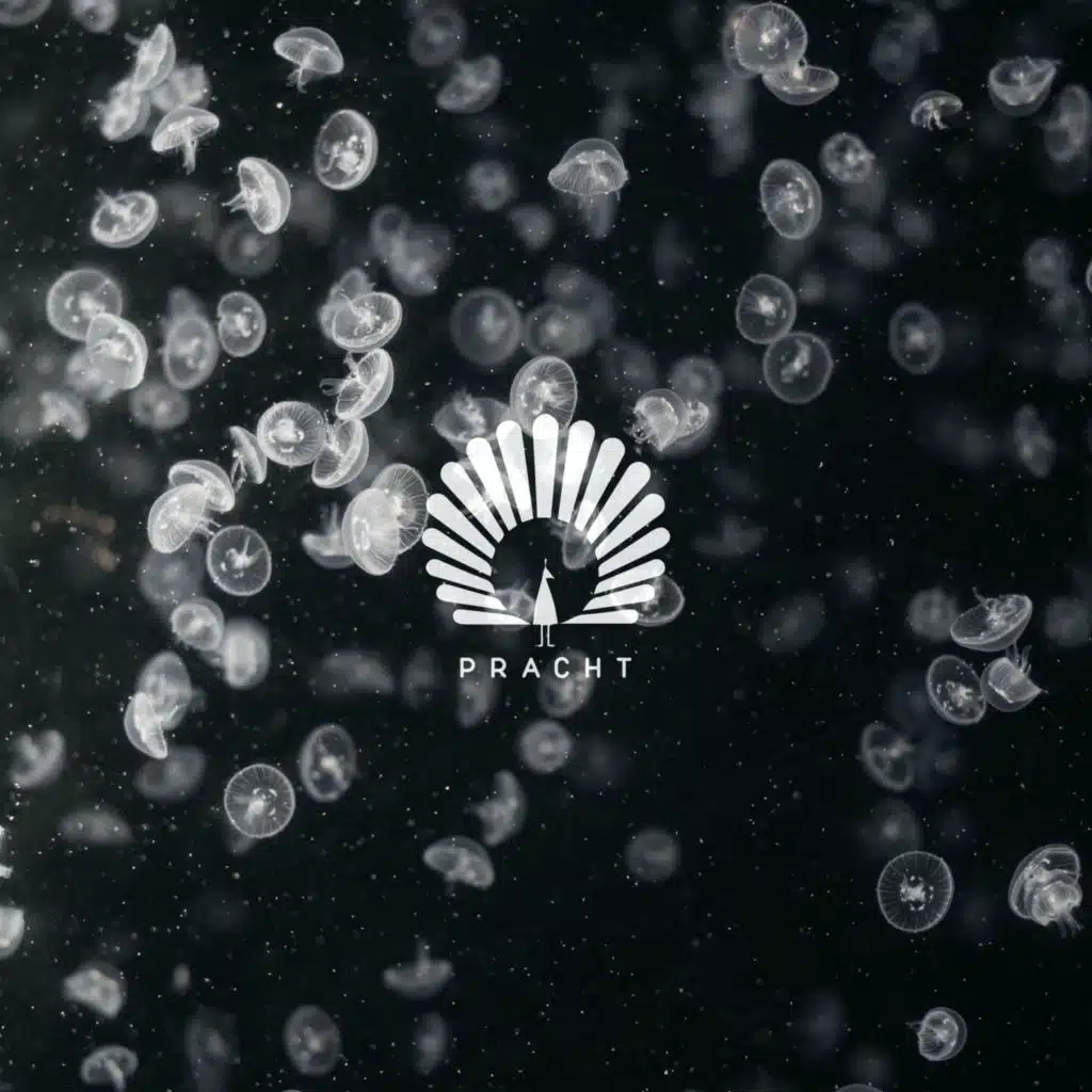 Lotus (feat. bailey)