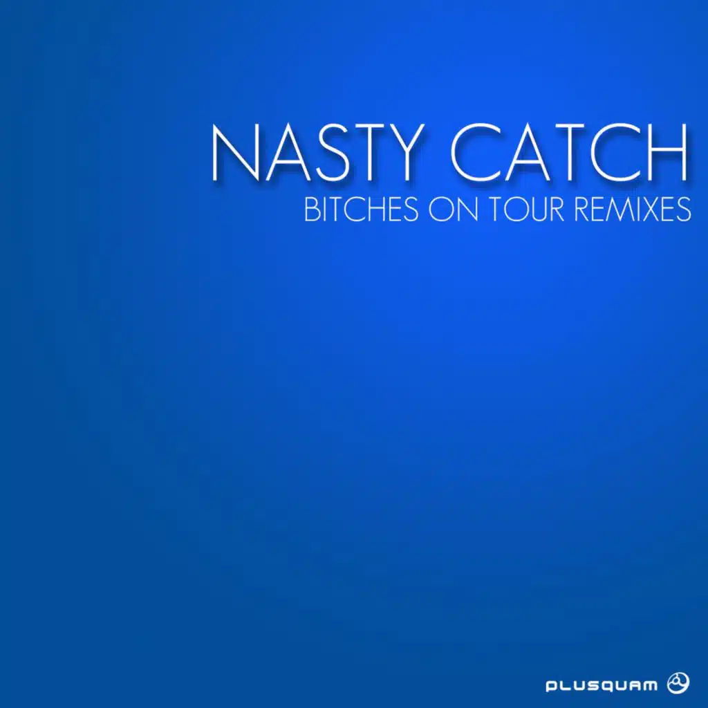 Bitches on Tour Remixes
