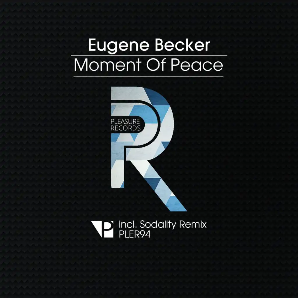 Moment of Peace (Sodality Remix)