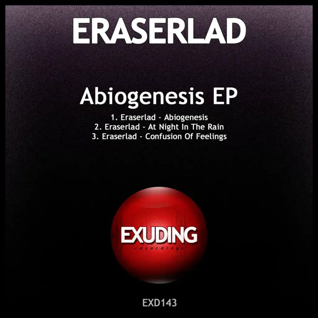 At Night in the Rain