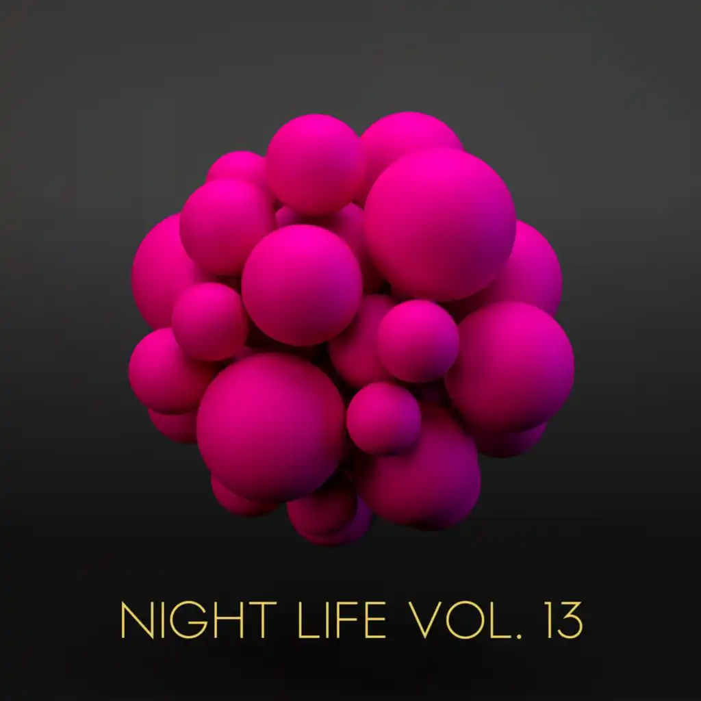 Night Life, Vol. 13
