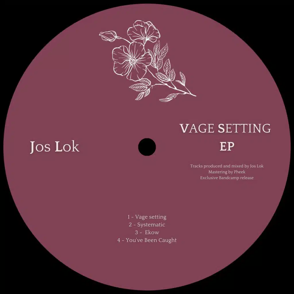 Vage Setting