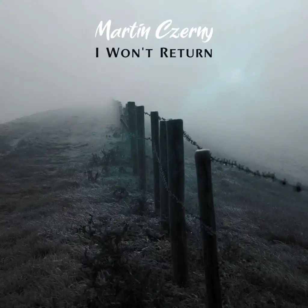 I Won't Return
