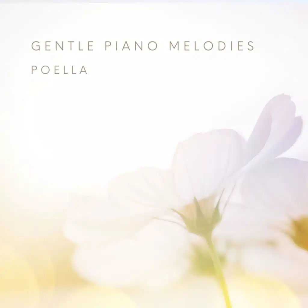 Gentle Piano Melodies