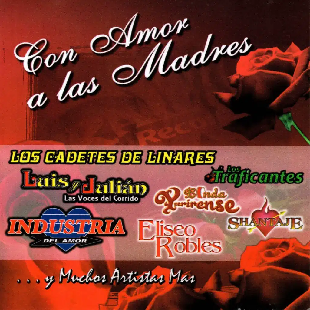 Despedida con Mariachi