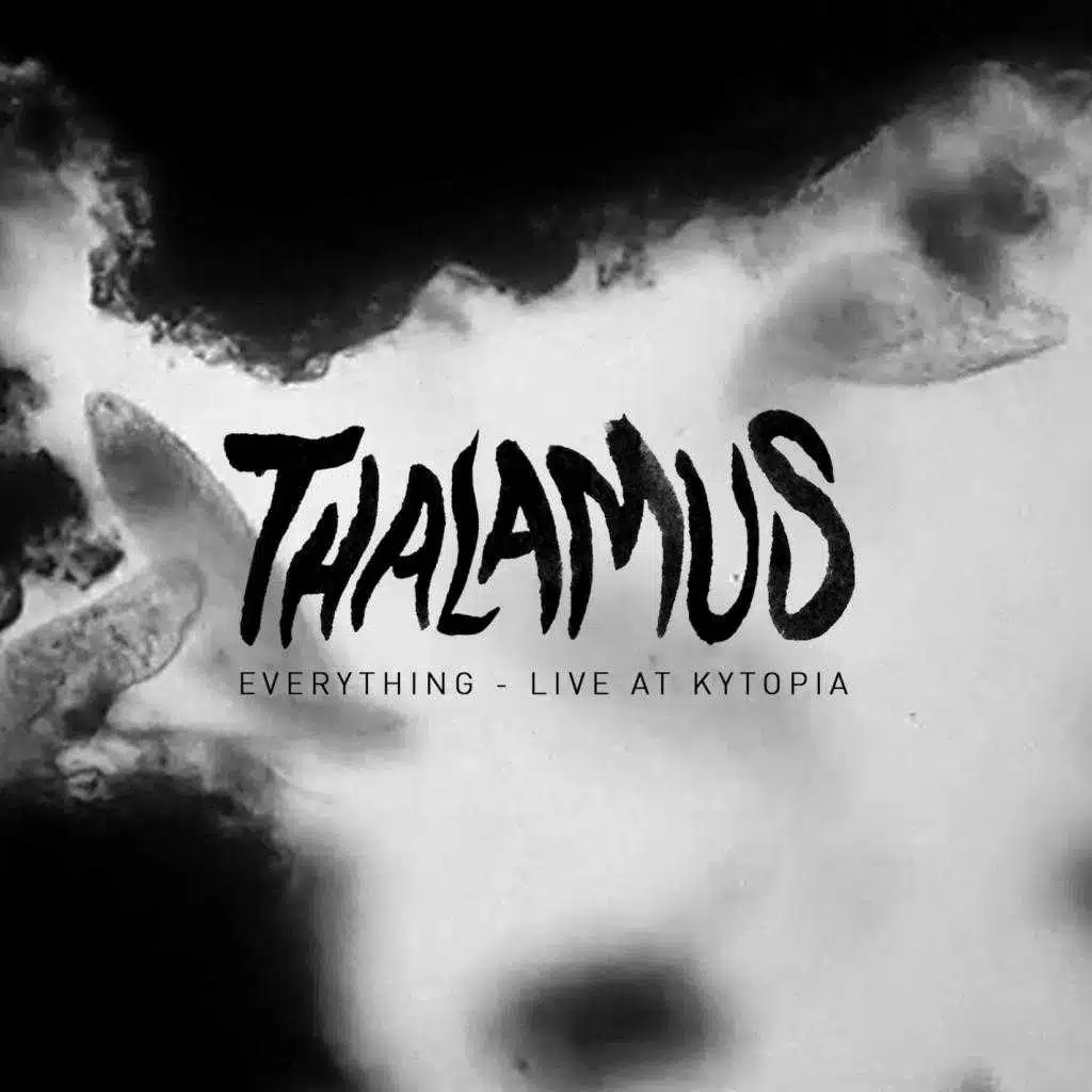Thalamus