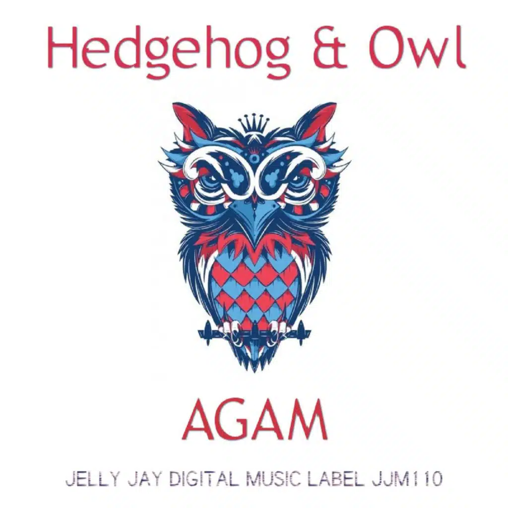 HedgeHog & Owl