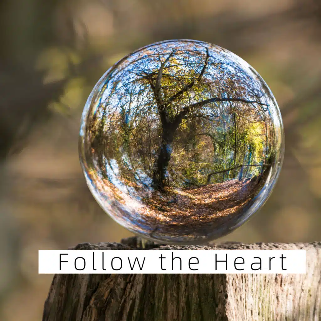 Follow the Heart