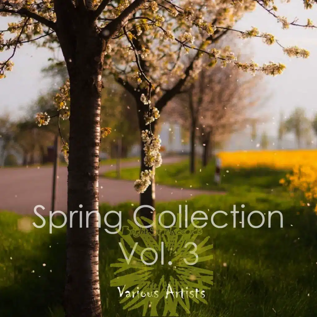 Spring Collection, Vol. 3