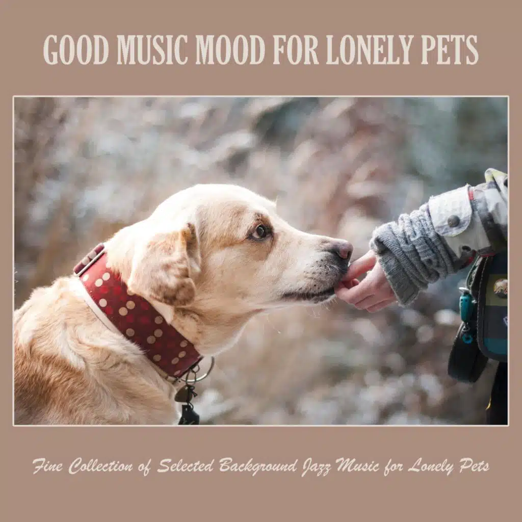 Good Music Mood for Lonely Pets: Fine Collection of Selected Background Jazz Music for Lonely Pets