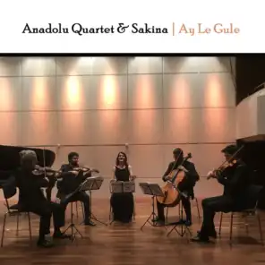 Anadolu Quartet, Sakina