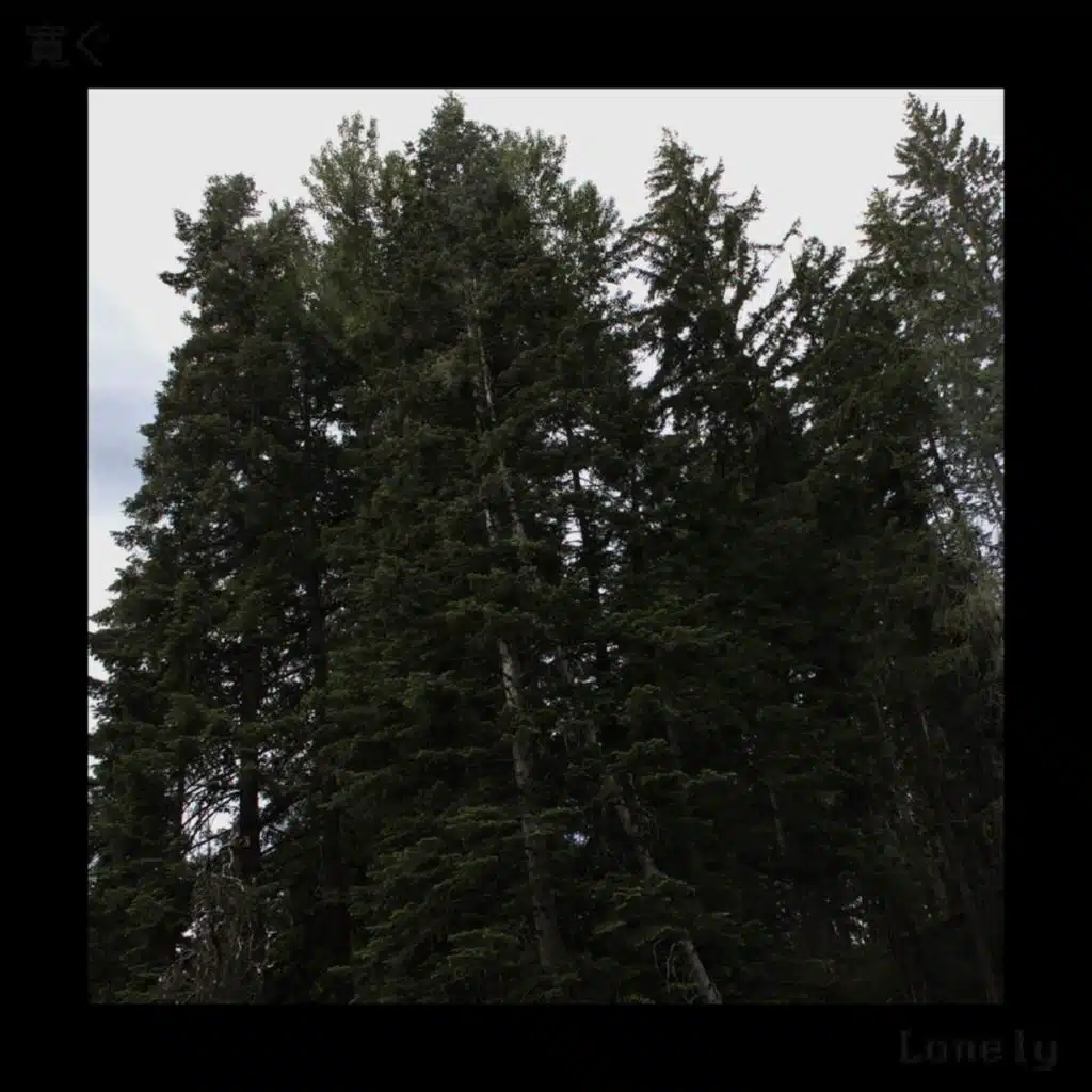 Lonely