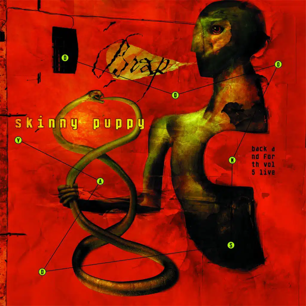 Harsh Stone White (Live)