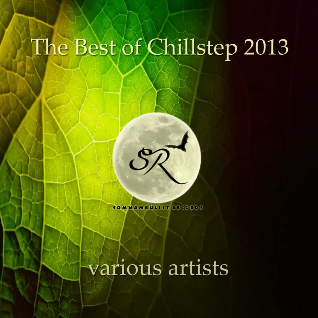 The Best of Chillstep 2013