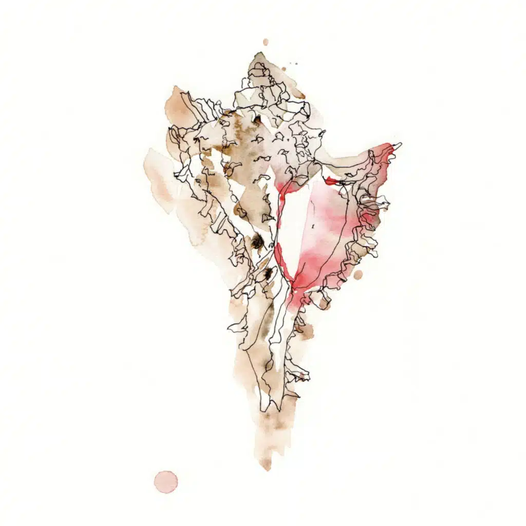 Phlocalyst, LESKY & Sátyr