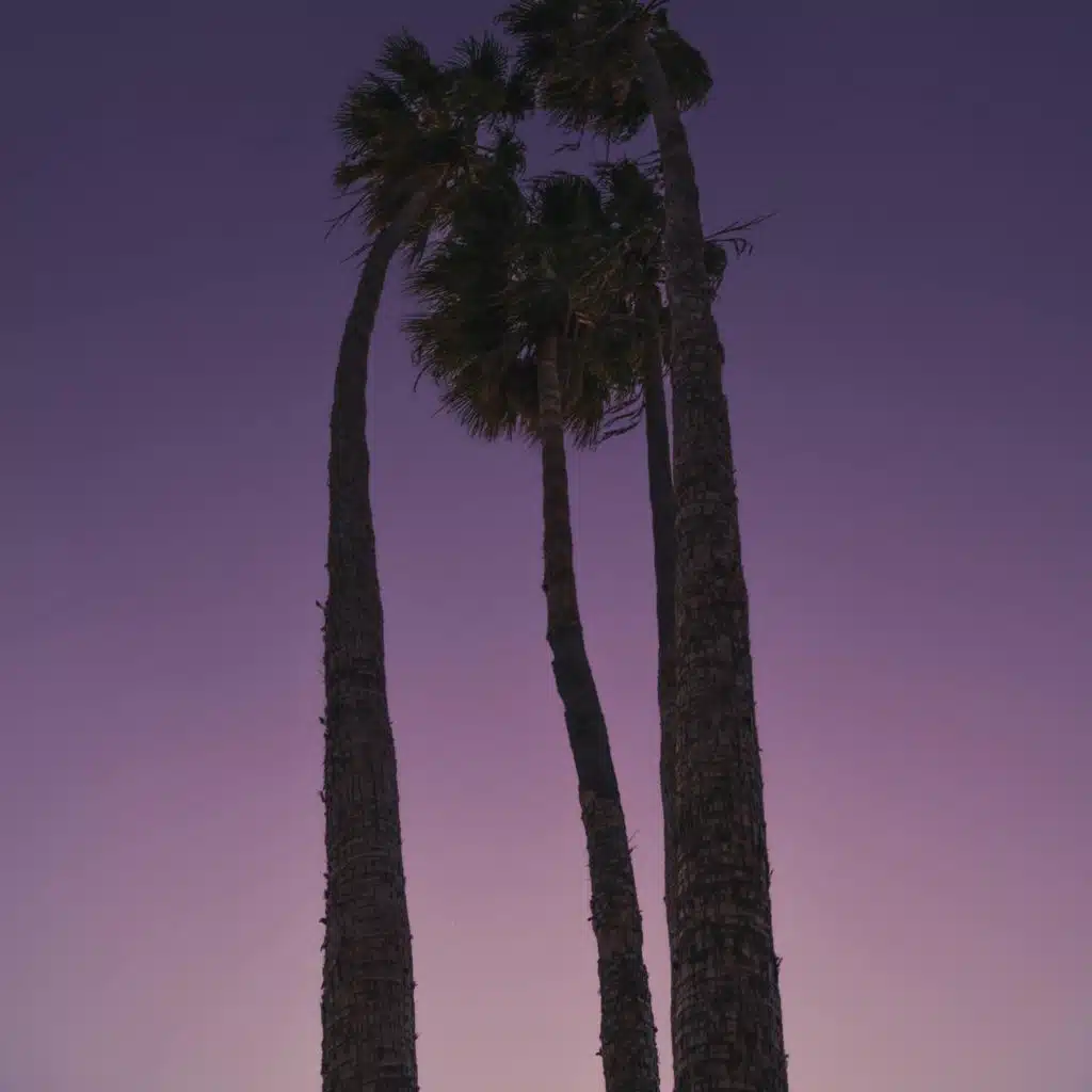 Look at the Sky and Make a Wish