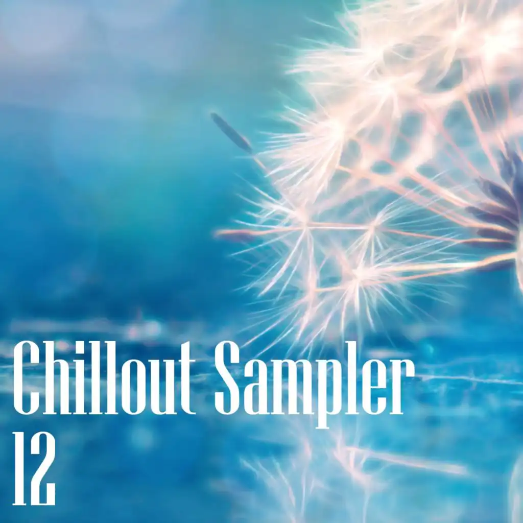 Chillout Sampler 12