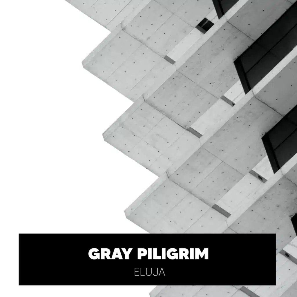 Gray Piligrim
