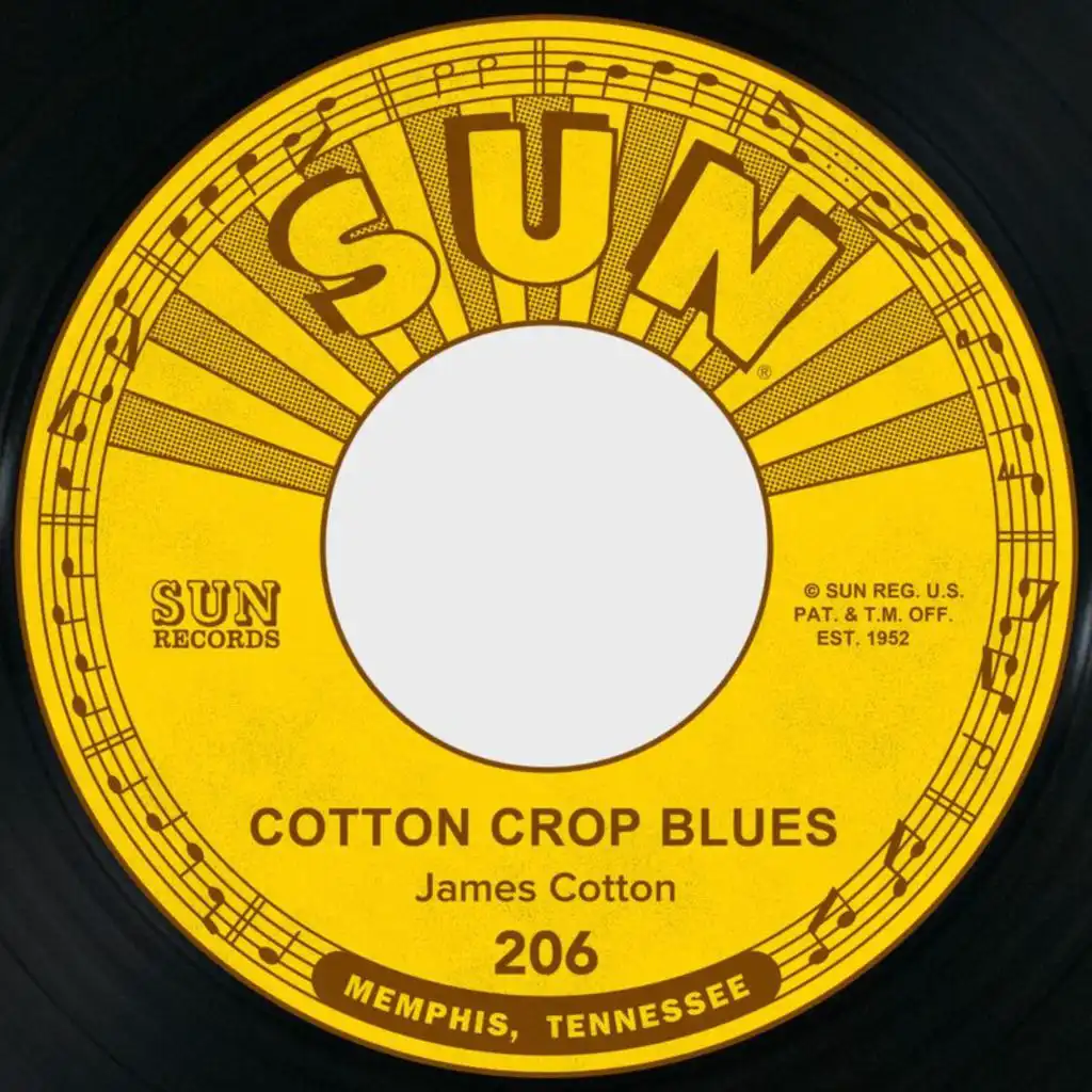 Cotton Crop Blues / Hold Me in Your Arms