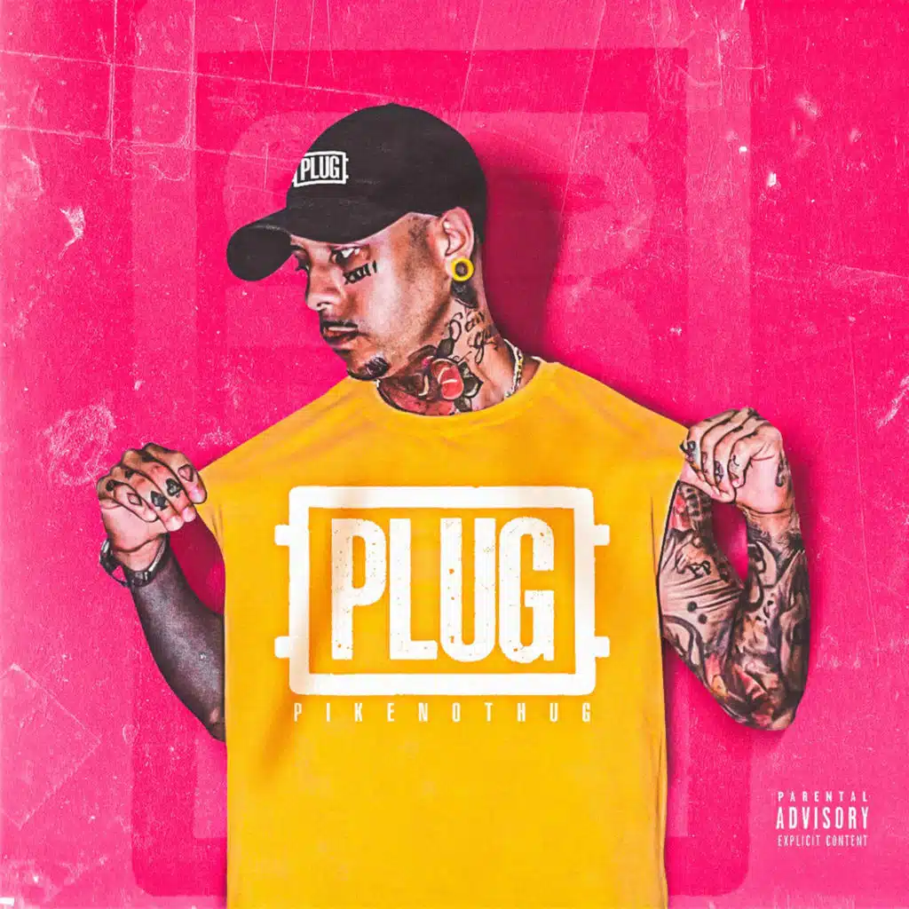 Plug